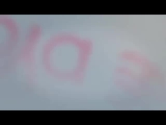 Guangzhou Sino Japan Auto Parts Co., Ltd. fabricant de qualité en provenance de Chine.